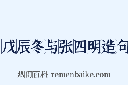 戊辰冬与张四明造句是什么意思的图片
